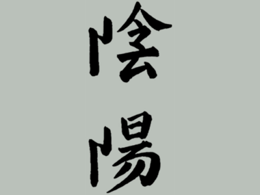 Yin und Yang sind die Gegenpole die zusammen fÃ¼r Harmonie sorgen. Die Welt in Farbe AG erstellt Feng Shui Konzepte und lÃ¤sst die Aspekte der Energielehre in die Farb- und Einrichtungsberatung einfliessen. Daher entsteht eine Harmonie von Form, Farbe und 